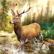 Hunting Clash MOD APK 4.23.1 Menu PRO, One hit kill icon